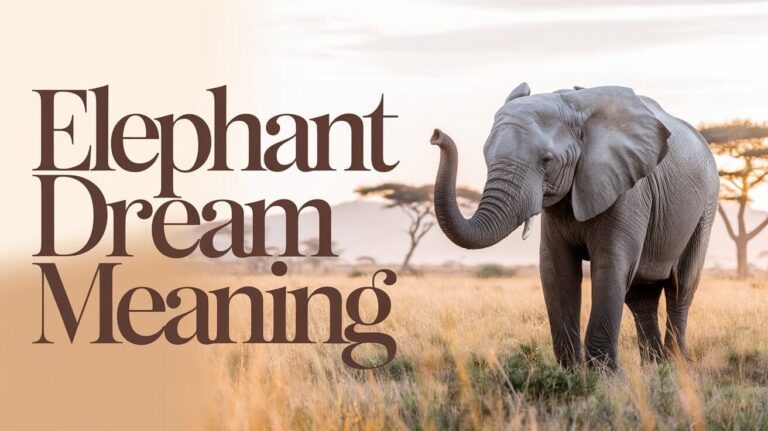 Elephant Dream Meaning