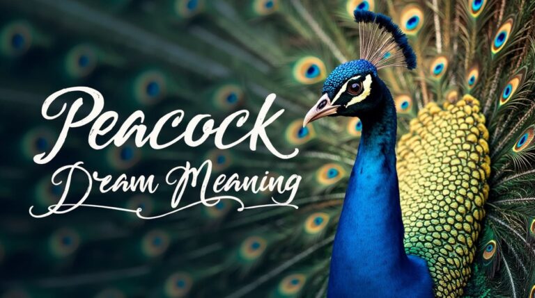 Peacock Dream Meaning